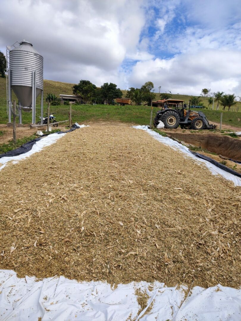 Nater Coop premia produtores em Torneio de Silagem no norte do estado