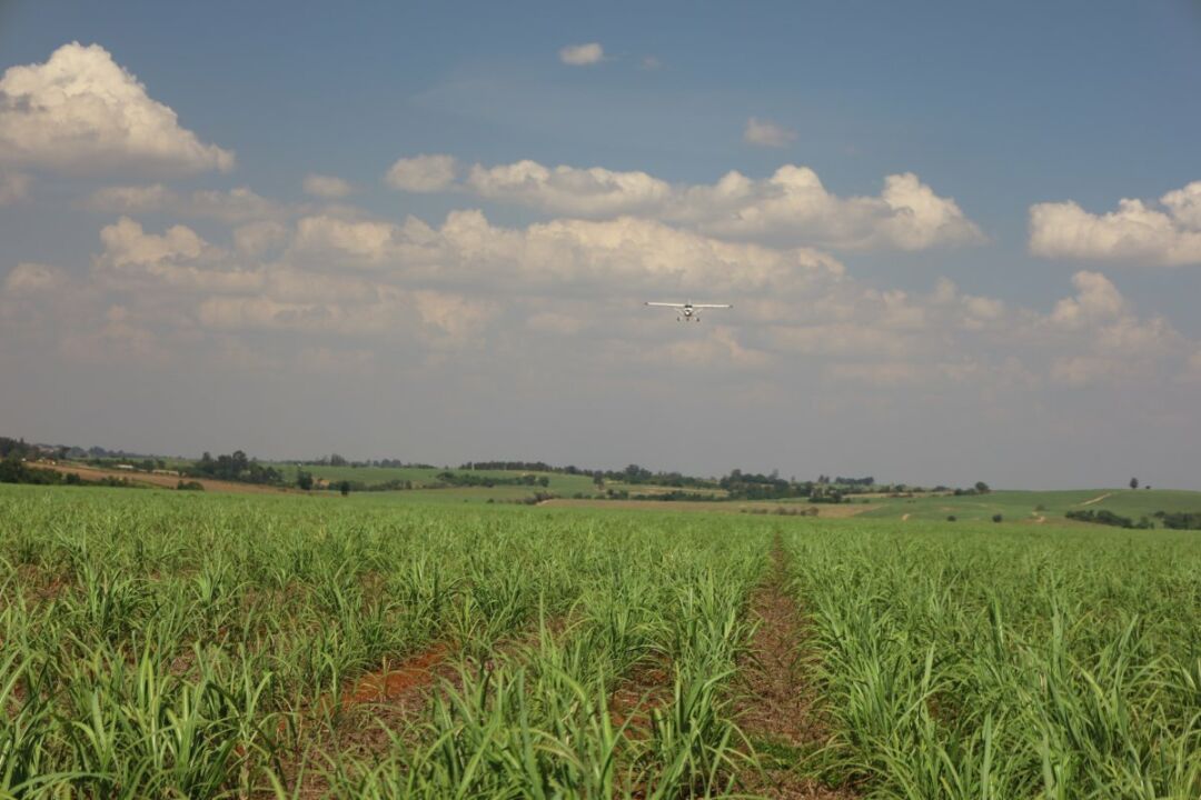<strong>Brasil tem a segunda maior frota de aviões agrícolas do mundo</strong>
