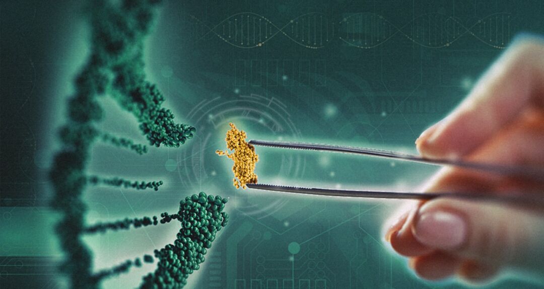 Empresa brasileira investirá R$ 190 milhões no desenvolvimento de biotecnologias verdes para agricultura tropical