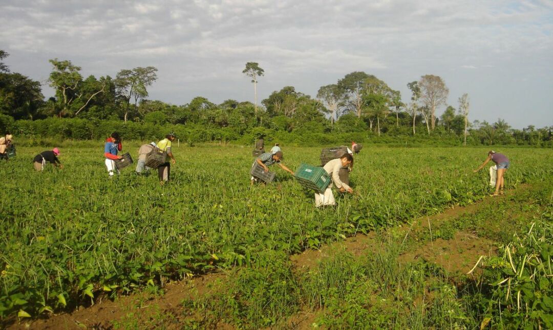 Governo Federal relança Programa de Aquisição de Alimentos