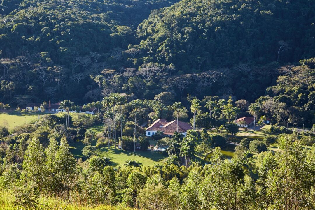 <strong>Tecnologia com drones auxilia projeto de reflorestamento em fazenda de cana</strong>