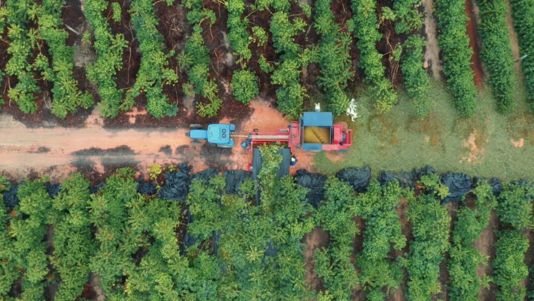 Preocupação com ESG ganha espaço em lavouras brasileiras