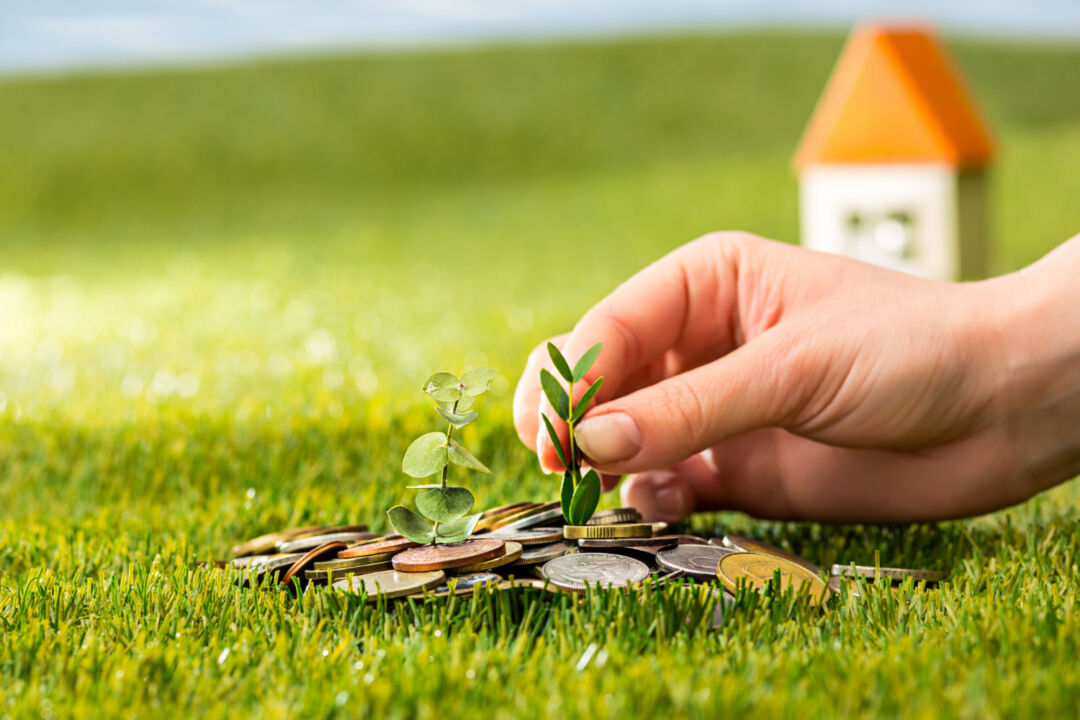 Liberação do crédito rural alcança R$ 267 bilhões em nove meses