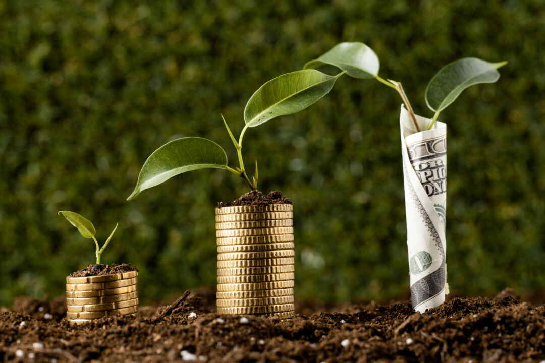 Linha de financiamento rural em dólar terá mais R$ 2 bilhões disponíveis aos agricultores