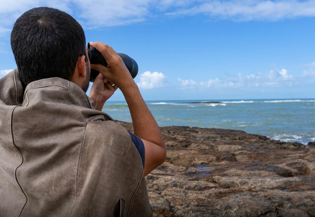 Marataízes realiza ações de monitoramento de aves marinhas em ilhas do município
