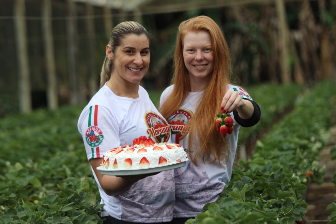 Festa do Morango terá mais de 30 mil fatias de torta