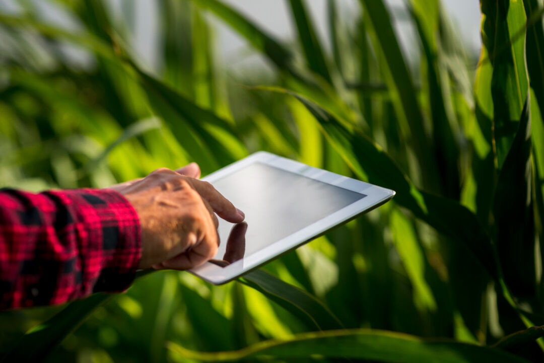 Como o agronegócio pode se defender de ciberataques