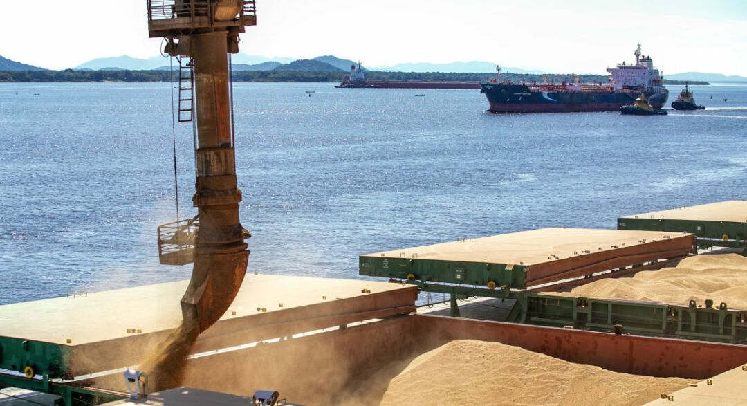 Exportações aos árabes sobem no acumulado do ano