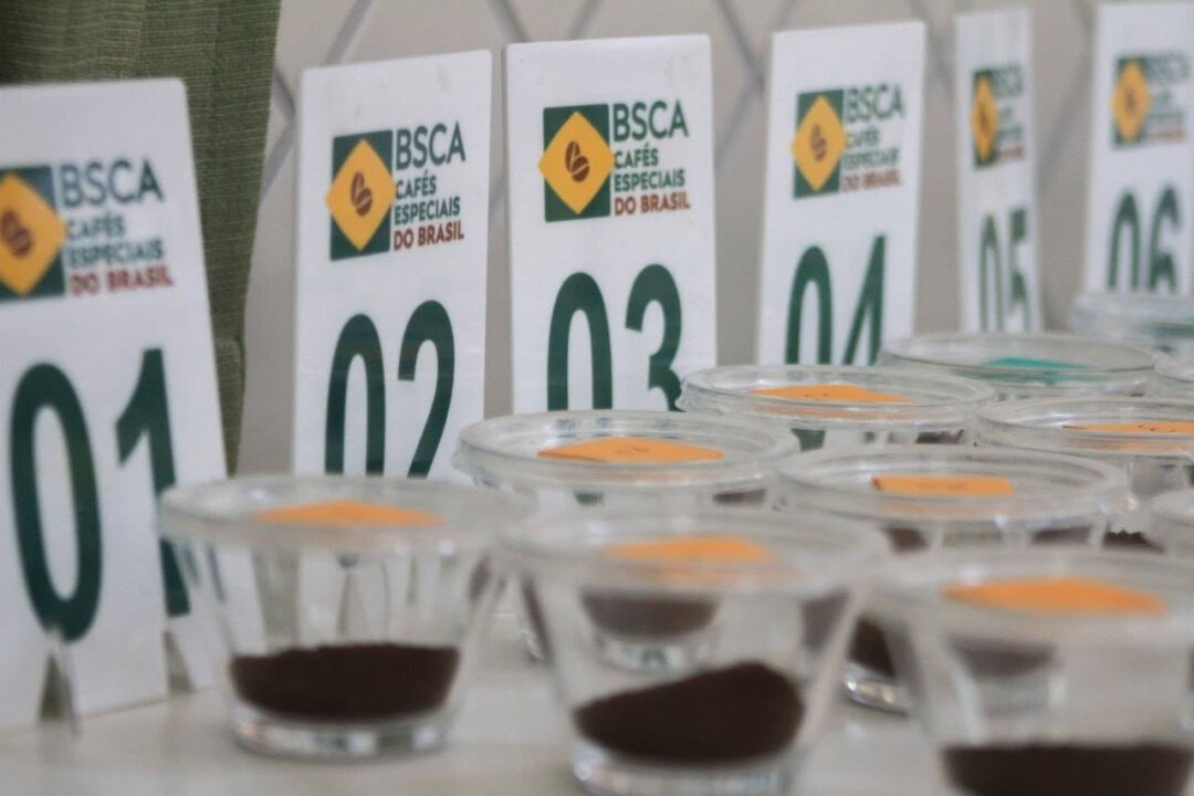 Abertas as inscrições do principal concurso de qualidade para café no mundo