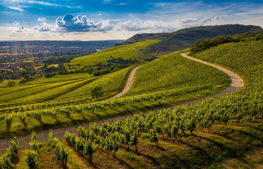Etapas do Programa Agro 4.0 são explicadas em webinar