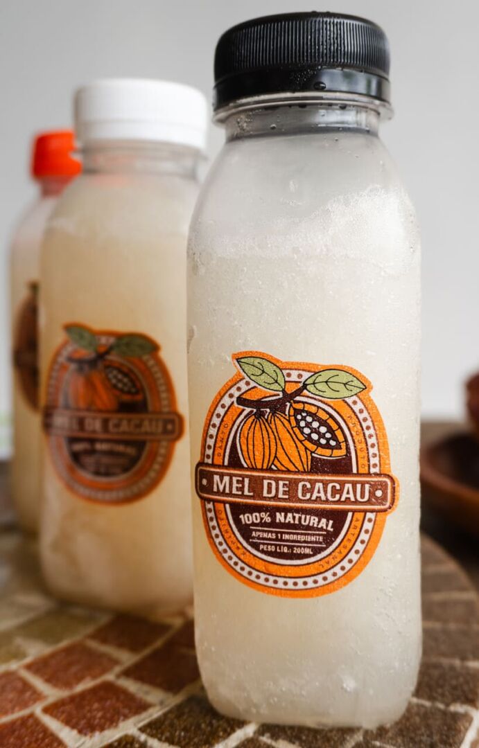 Produção artesanal resgata sabores e o potencial da biodiversidade gastronômica brasileira 