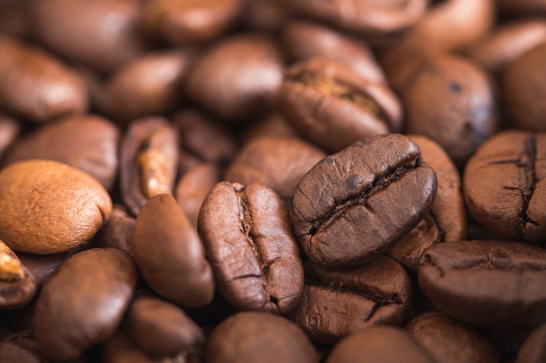 Região da Canastra conquista registro de IG no café