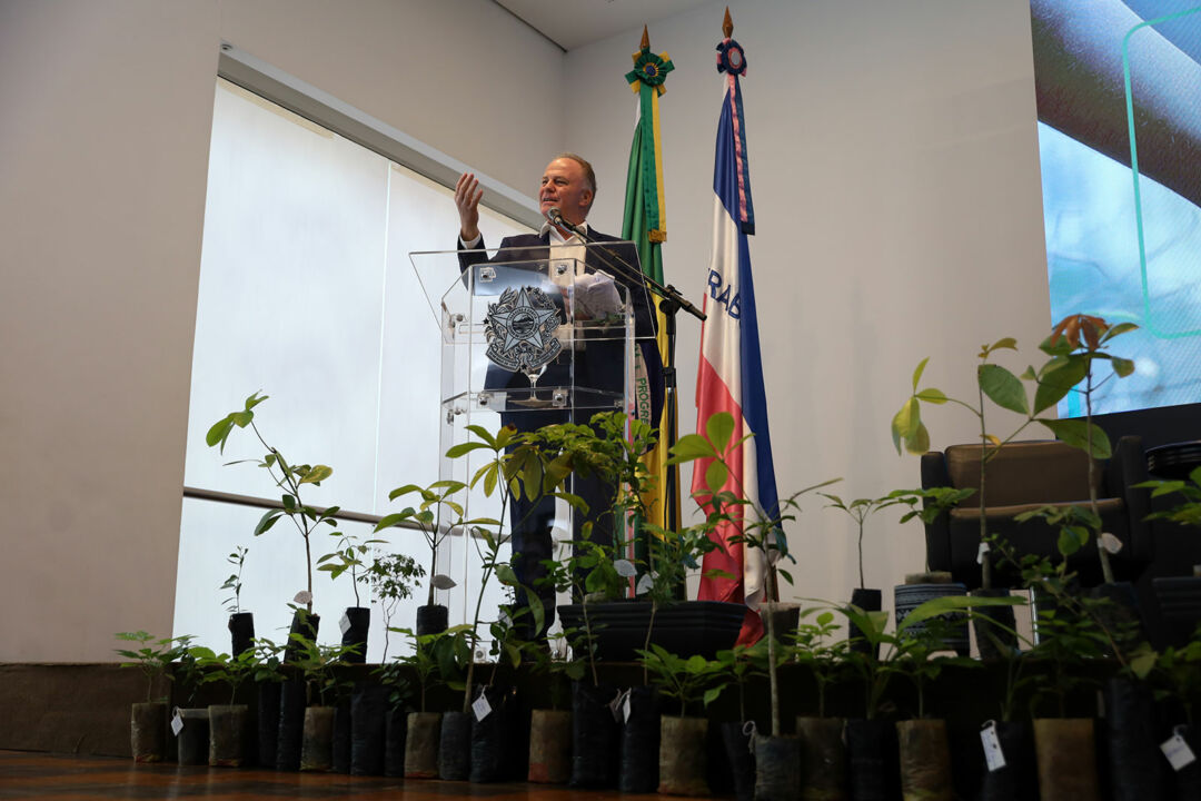 Mais de 20 milhões de árvores serão plantadas no Espírito Santo nos próximos anos
