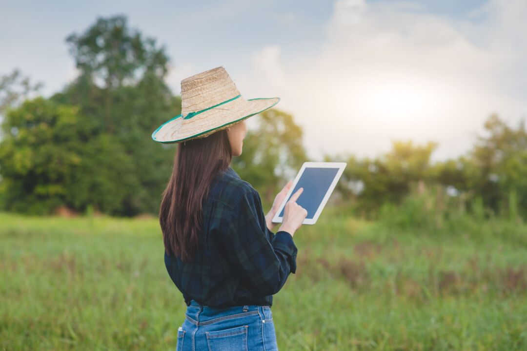 Sedu abre inscrições para curso técnico em Agropecuária