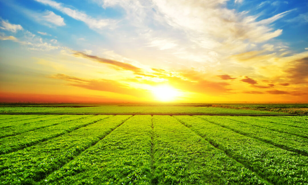Fatores climáticos influenciarão a produção do agro em 2024