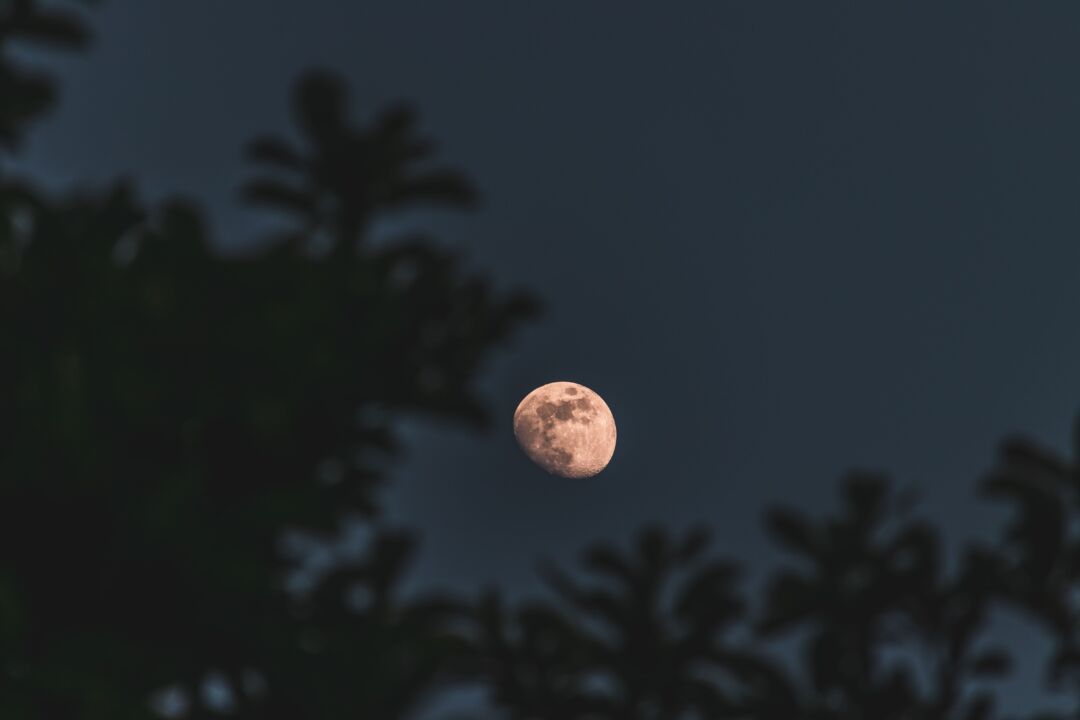 Parque da Fonte Grande estará aberto na segunda (27) para Projeto Lua Cheia