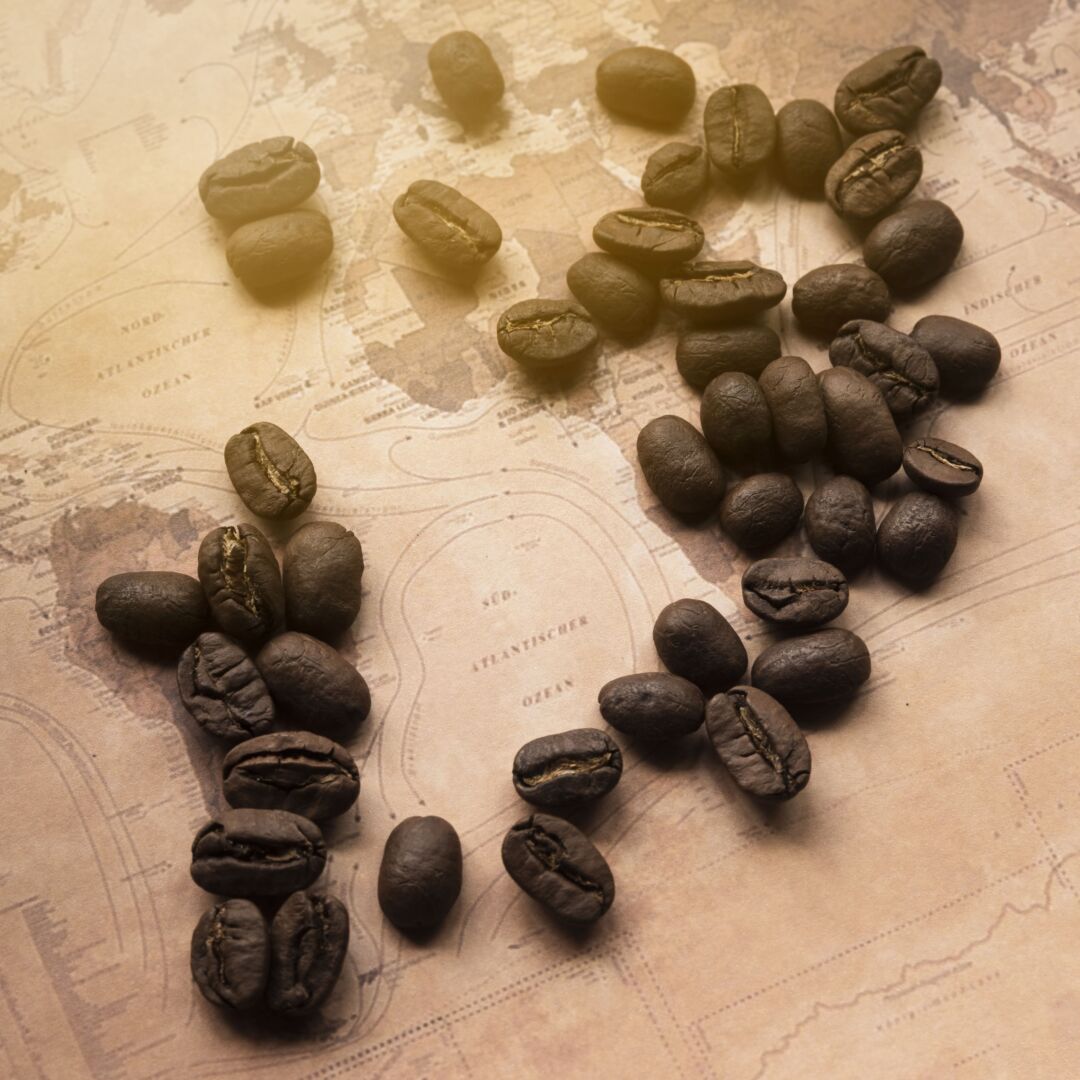 Exportação de cafés canéforas brasileiros crescem 82,2% em julho