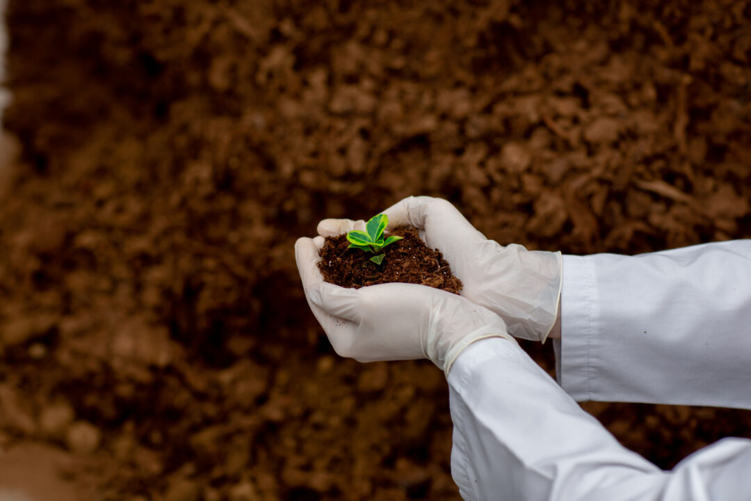 Empresas do agro investem em fertilizantes sustentáveis
