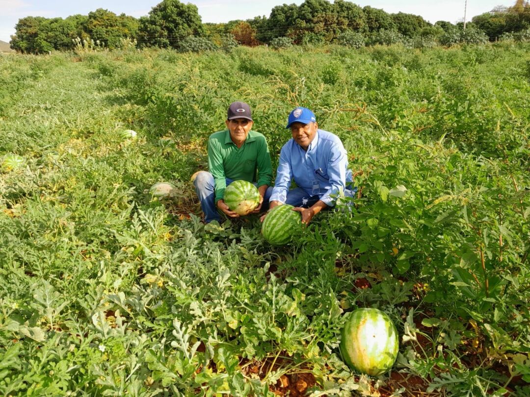 Programa de Irrigação da Abapa fortalece a agricultura familiar no Sudoeste e Oeste da Bahia
