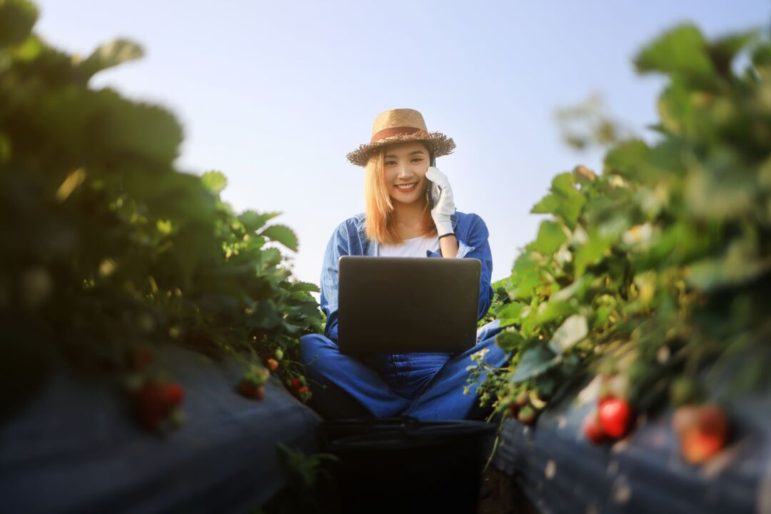 Estudo traz raio-x das startups do agro na América Latina