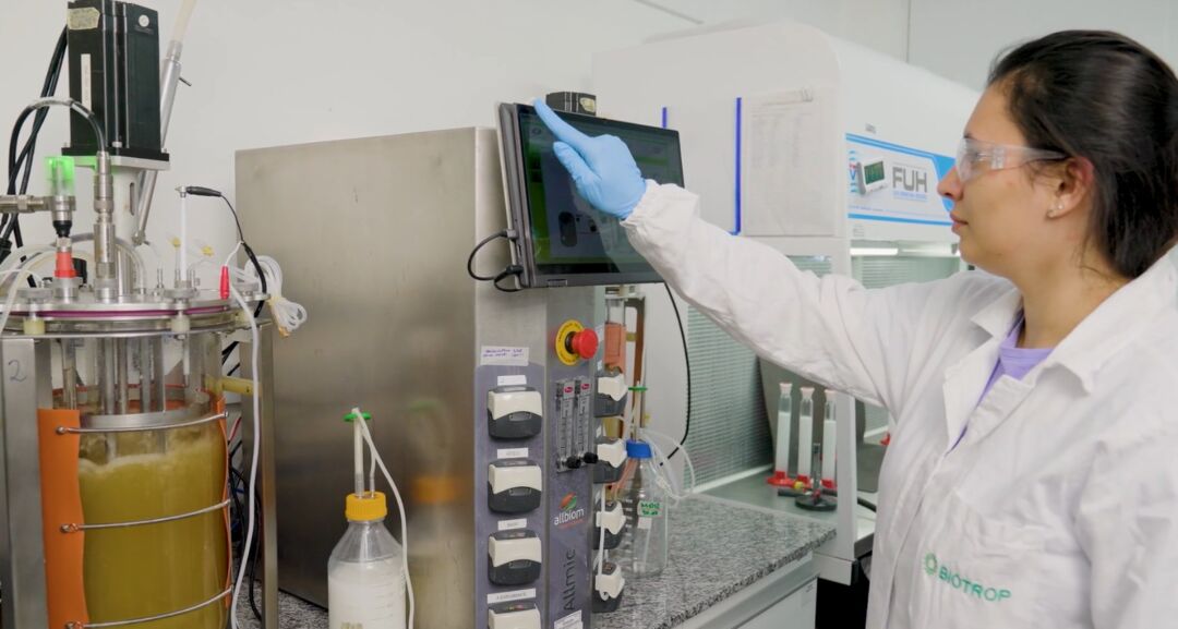 Mercado de biológicos terá destaque no Show Rural Coopavel