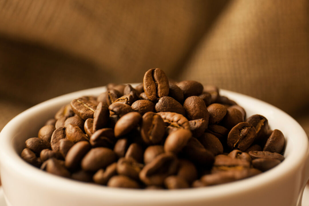 Inscrições para o Prêmio CNA Brasil Artesanal Cafés Especiais Torrados terminam nesta terça (23)