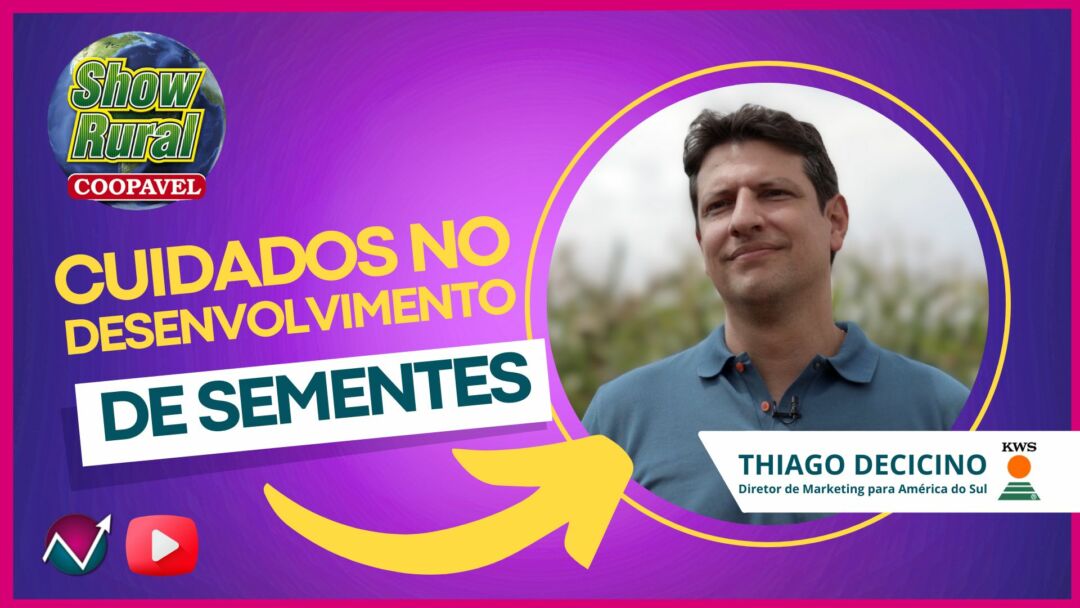 Quais os cuidados no desenvolvimento de sementes?