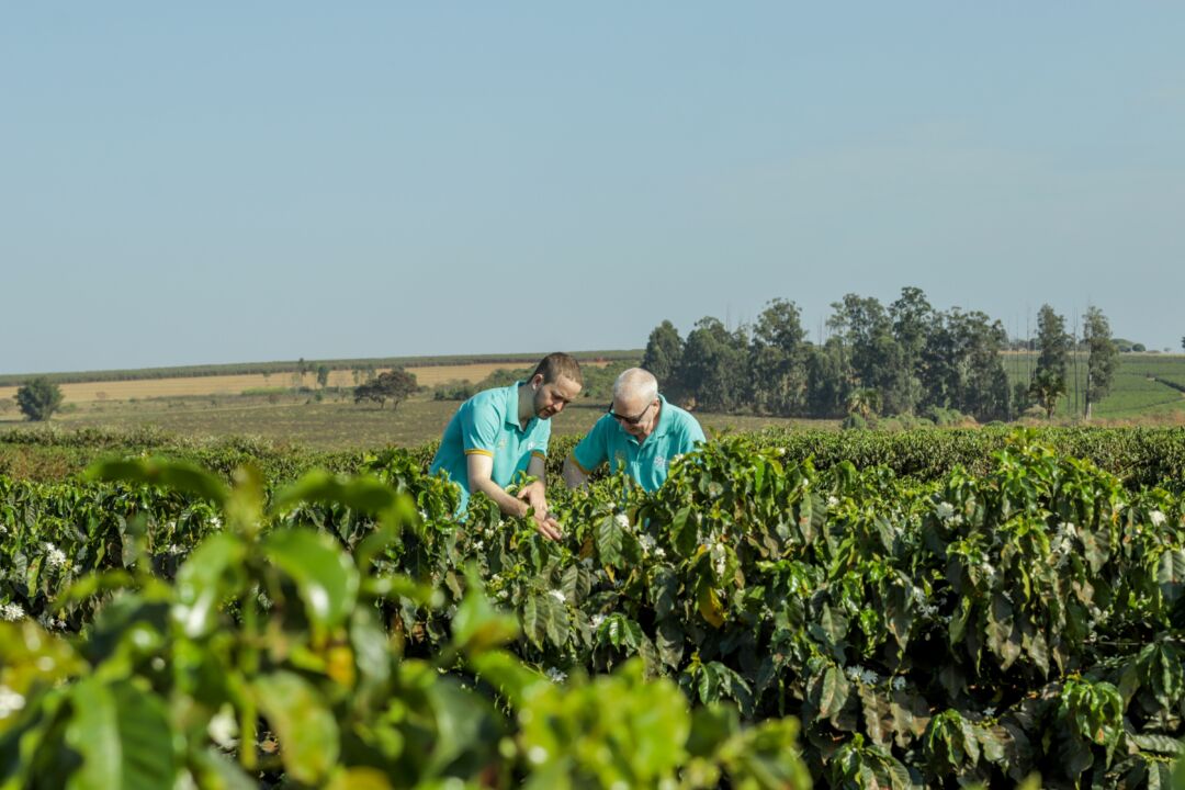 Fórum irá discutir o agronegócio sustentável com tecnologia e inovação