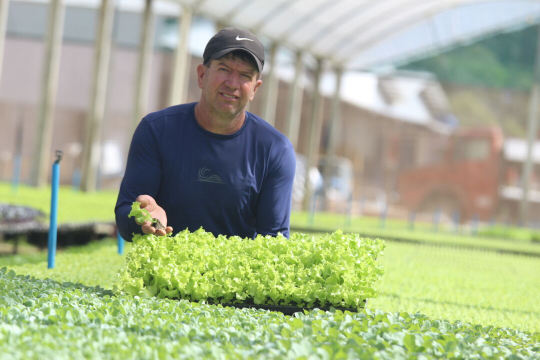 Bioinsumos iniciam uma nova fase de transformação da agricultura mundial