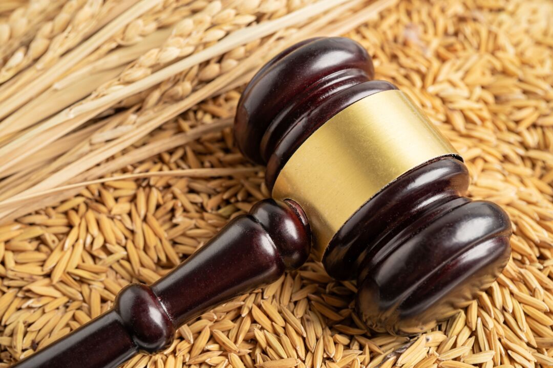 Com aumento de 300%, Brasil tem explosão de pedidos de recuperação judicial no agronegócio