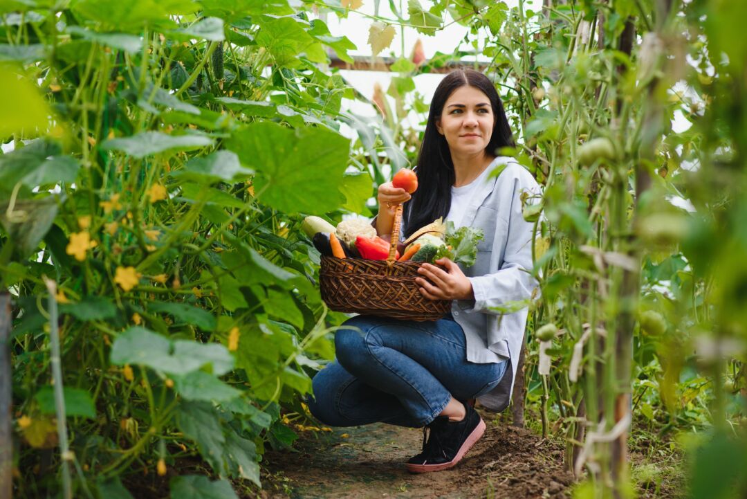 CNA lança projeto Agro.BR para mulheres