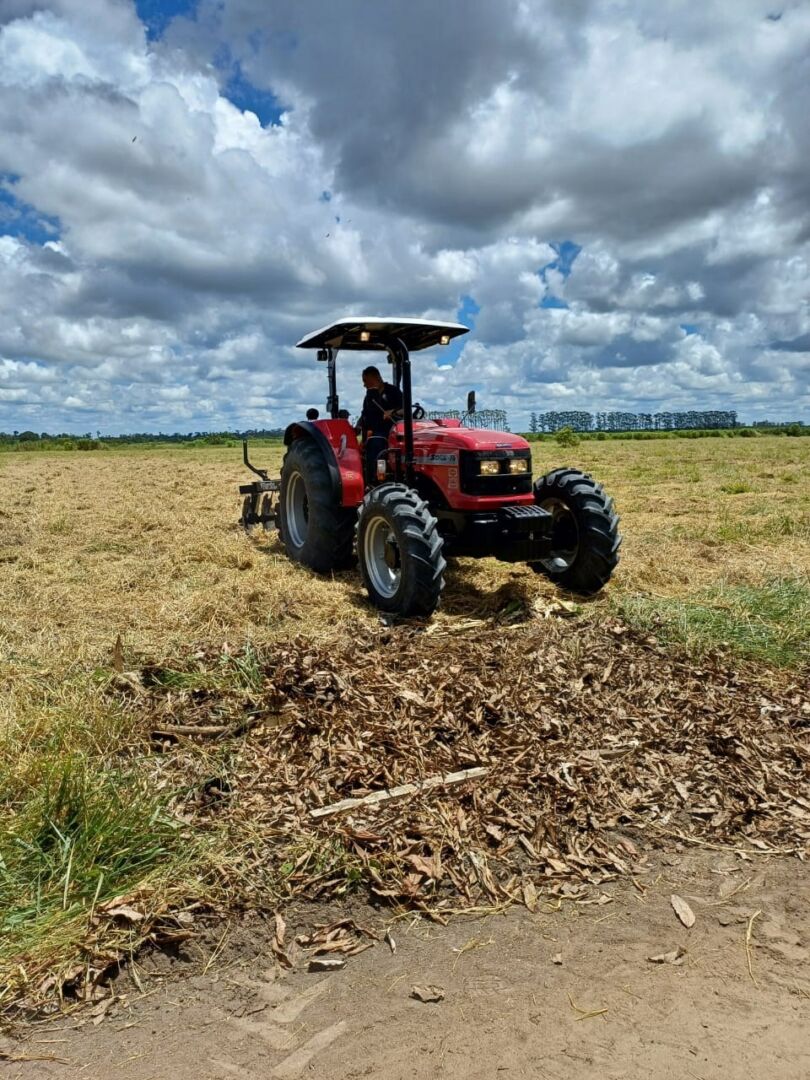 Projeto de agricultura é lançado em penitenciária de São Mateus