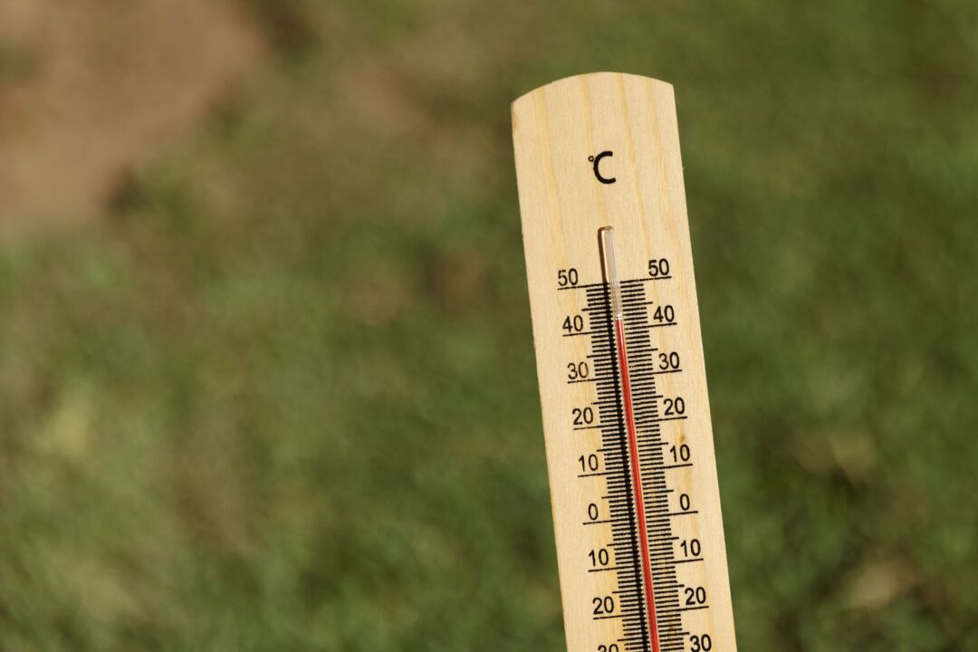 Altas temperaturas preocupam produtores rurais e especialistas