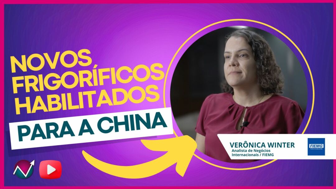 Novos frigoríficos vão exportar para a China