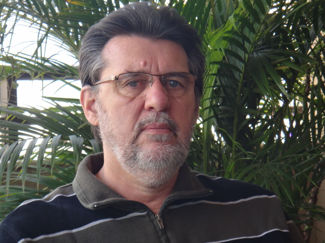 Abelhas: boas professoras, boas alunas
