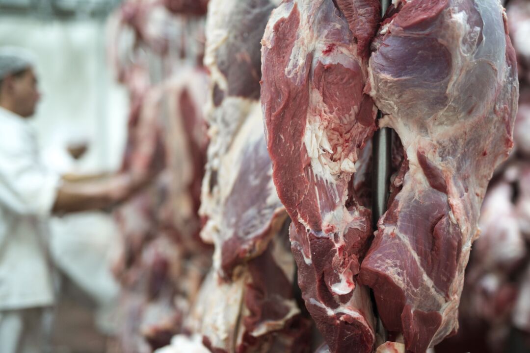 África do Sul habilita 19 frigoríficos para exportação de carnes brasileiras
