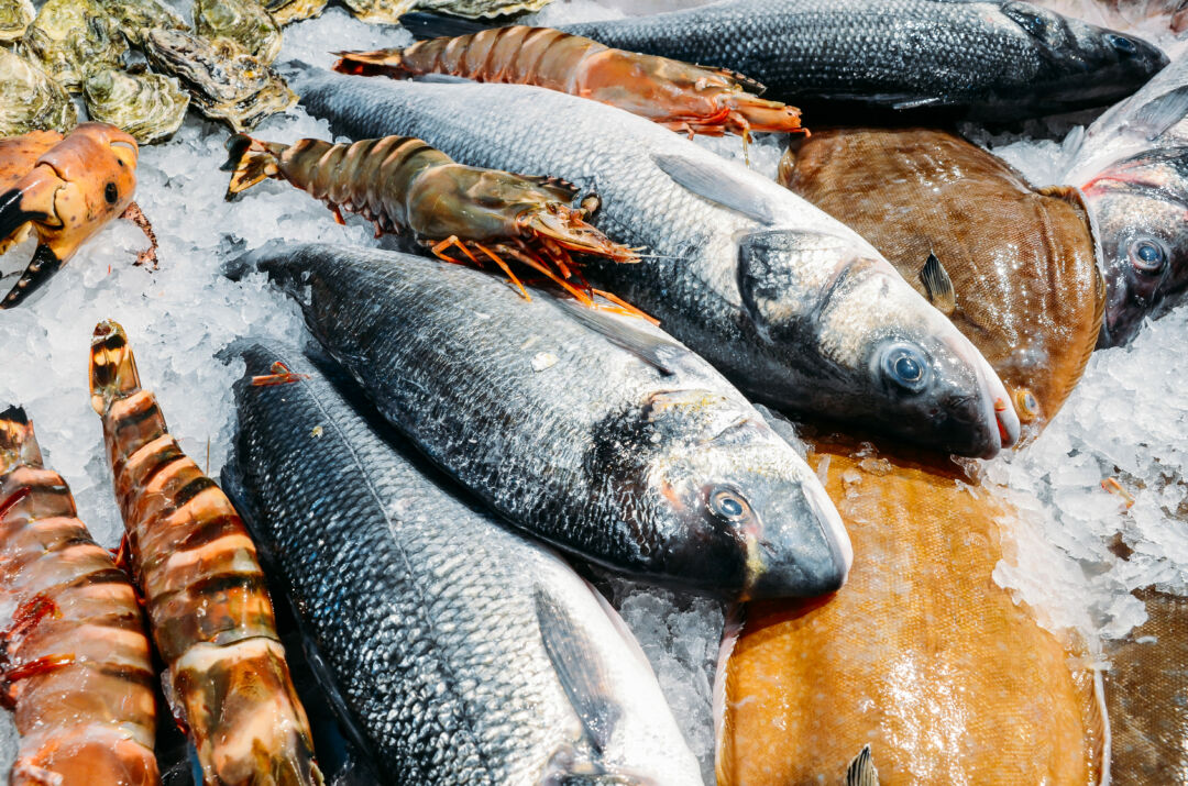África do Sul abre mercado para pescados