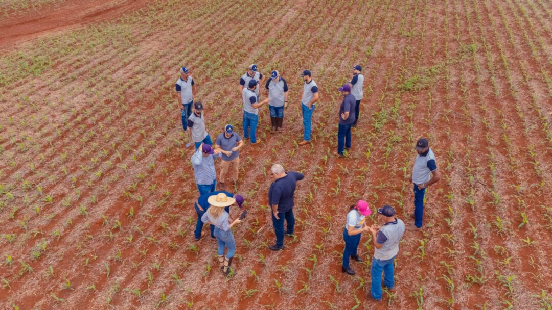 Venda direta é a nova revolução do agro