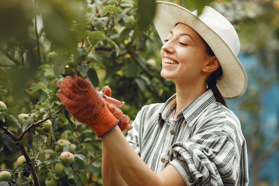 Mulheres Positivas abre período de indicações para prêmio voltado à empreendedoras no Agro