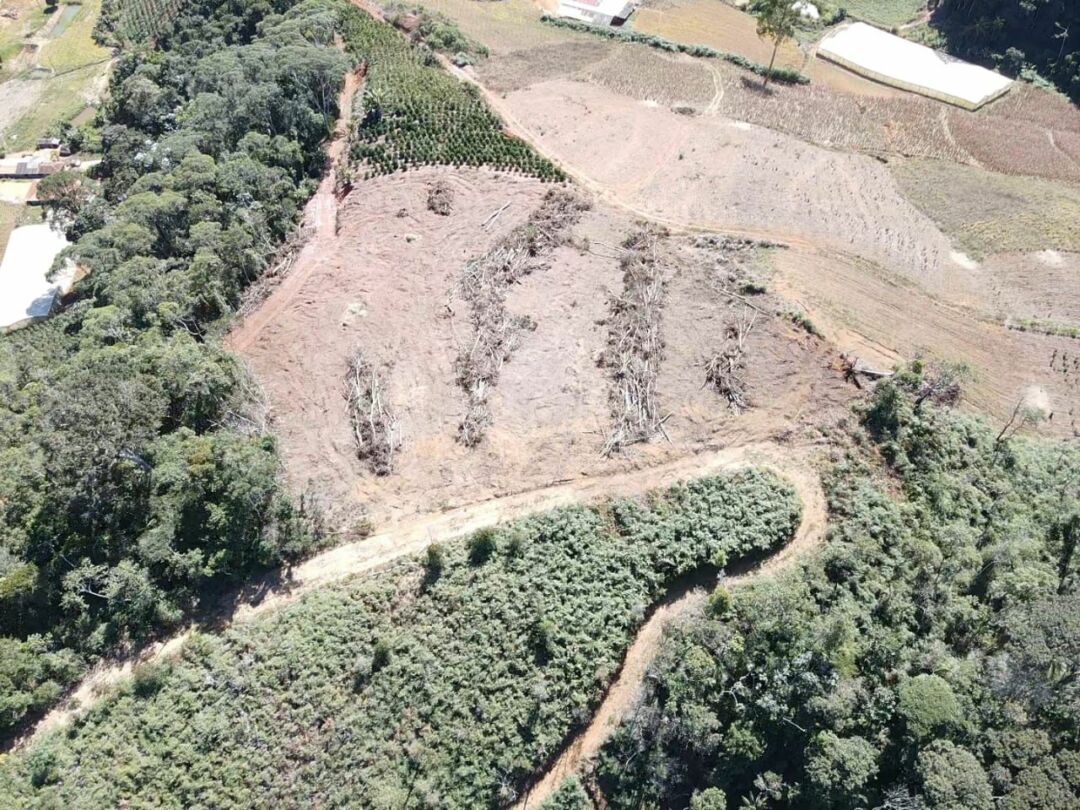 Polícia Ambiental interdita área de desmate no interior do Espírito Santo