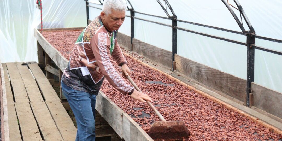 Dia Mundial do Chocolate: produto gera renda a famílias brasileiras