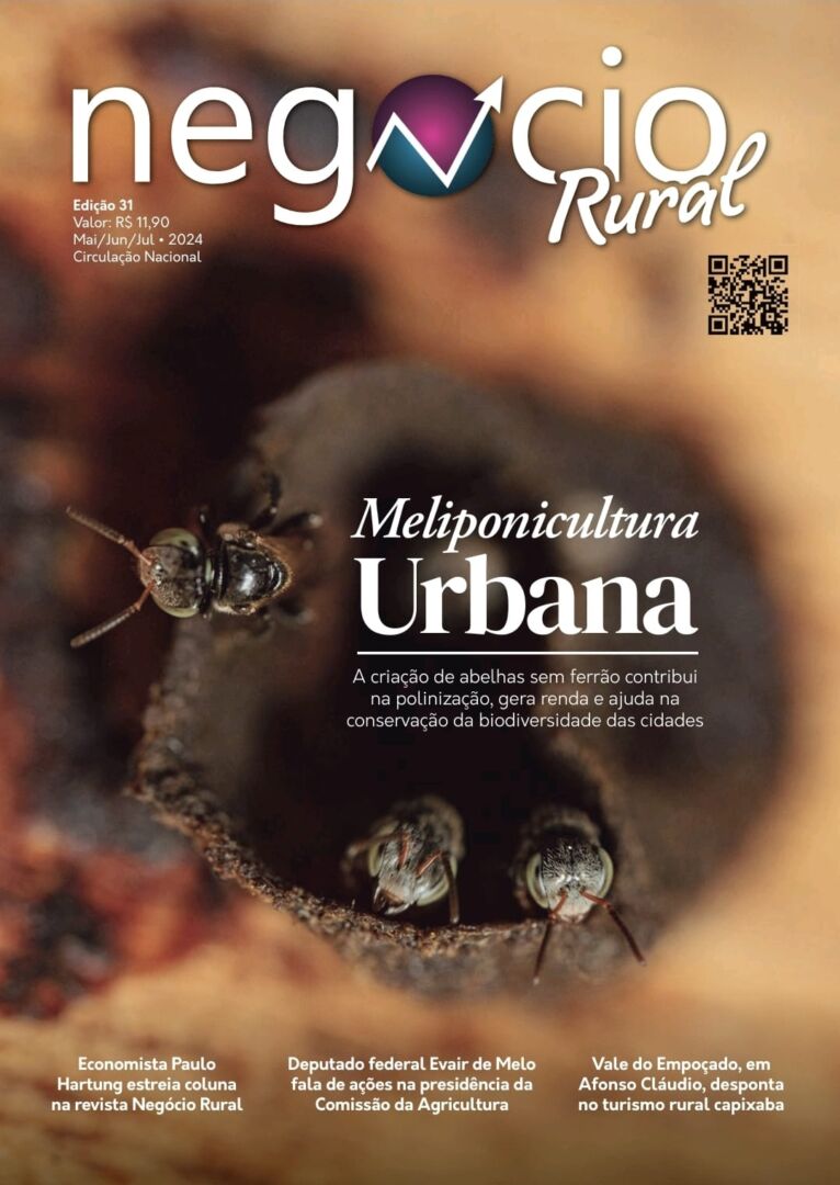 Negócio Rural – 31ª Edição