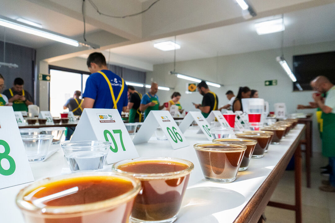 Inscrições abertas para o Cup of Excellence 2024