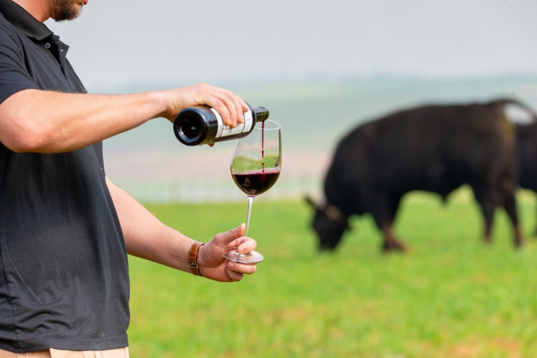 Vinho com rótulo especial é envazado para celebrar leilão de genética bovina