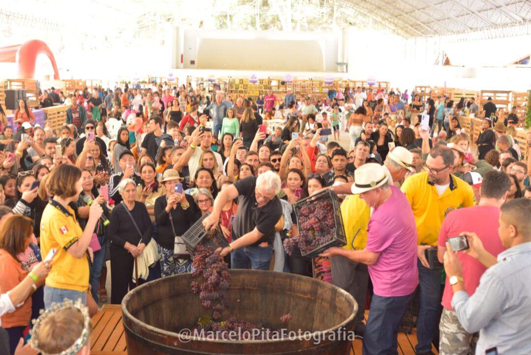 Festa do Vinho e da Uva agita Santa Teresa