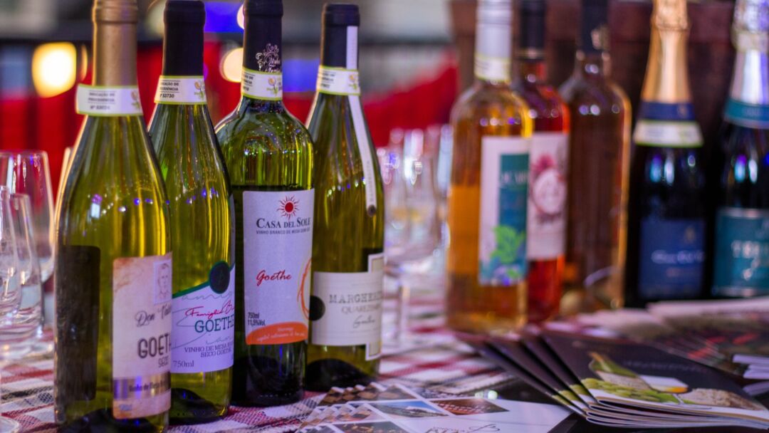 Vinícolas de Santa Catarina participam do Connection Experience em Gramado