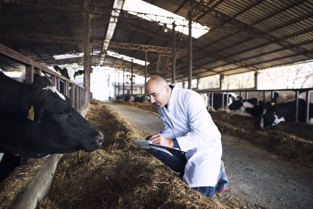 Seminário de defesa agropecuária do Espírito Santo acontece este mês