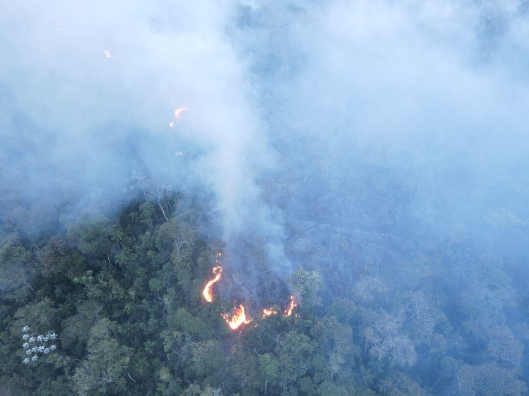 Governo decreta estado de emergência devido a incêndios florestais no Espírito Santo
