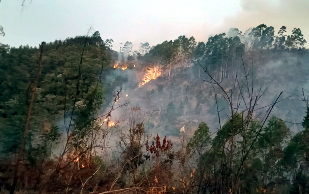 Homem é preso acusado de iniciar incêndio em Marechal Floriano
