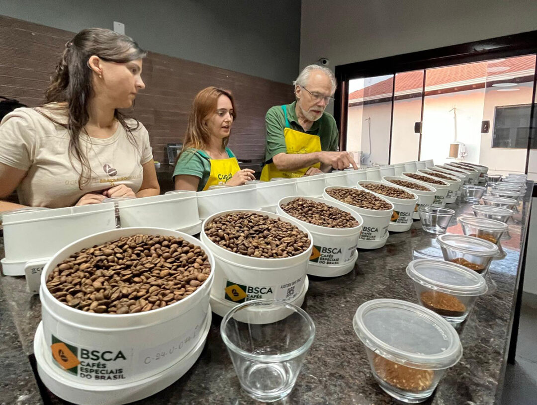 Cup of Excellence classifica 142 amostras para Fase Nacional com capixabas na disputa